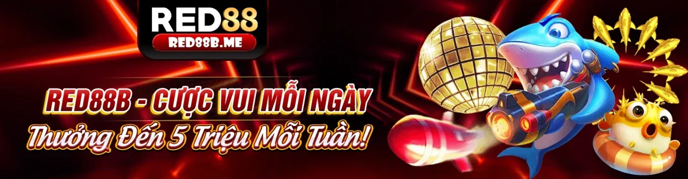 Hình ảnh tổng quan nền tảng 89ber dành cho người mới